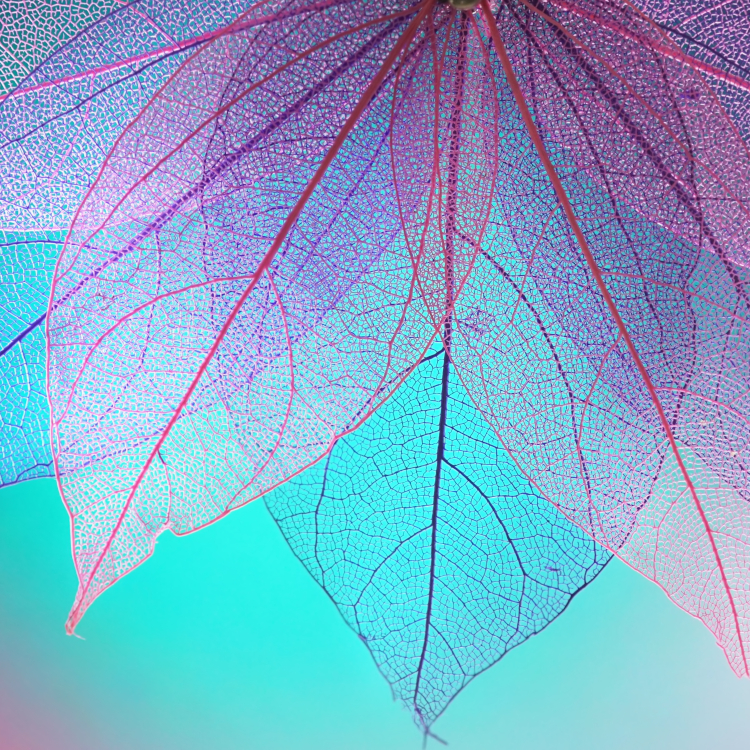 Cognizant Hosts WiTNY Winterns